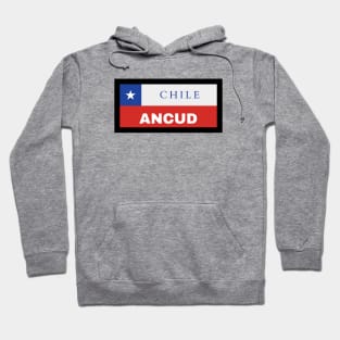 Ancud City in Chilean Flag Hoodie